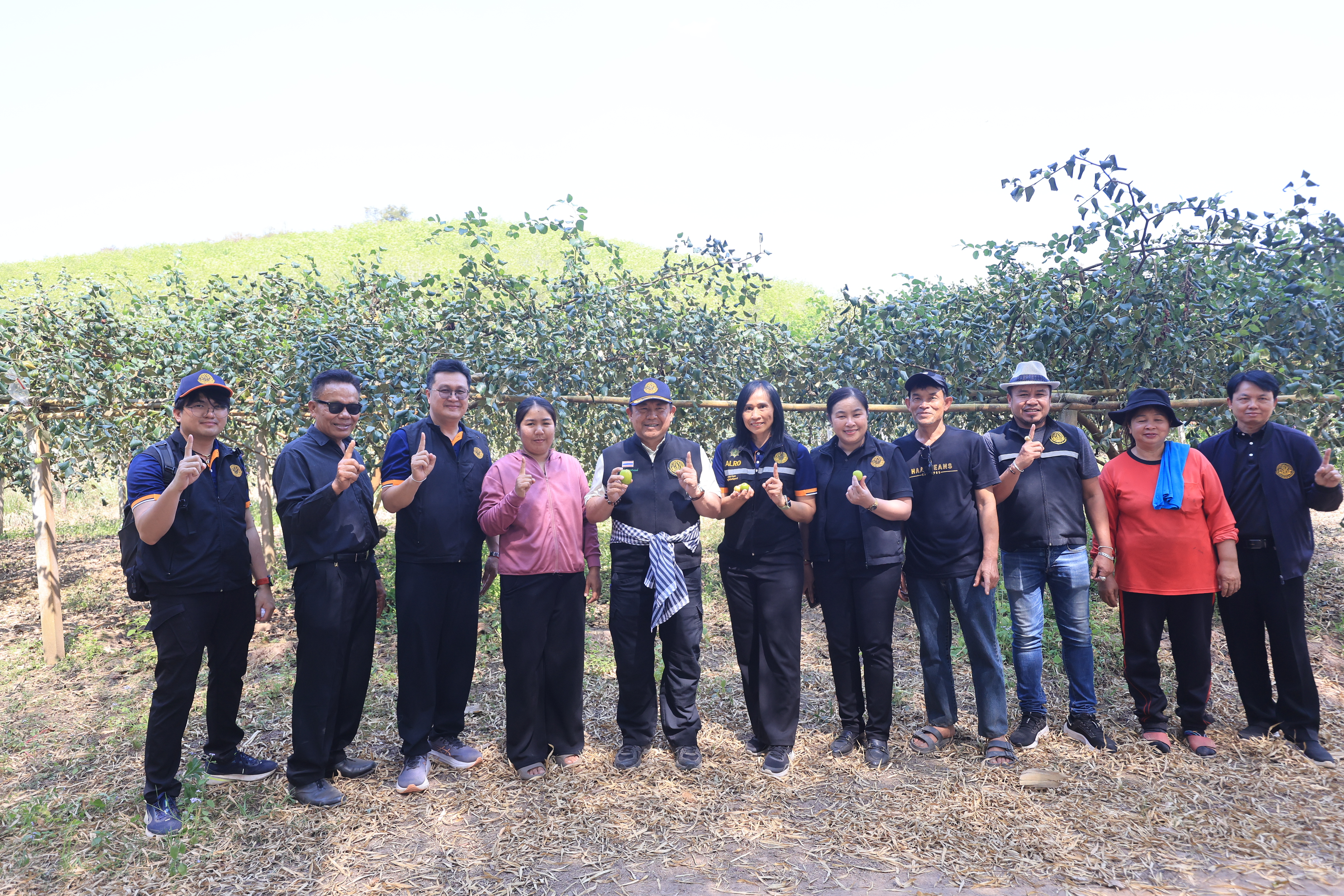 title - เลขาธิการ ส.ป.ก. และคณะ ตรวจเยี่ยมกลุ่มปลูกพุทรา บ้านท่าดีหมี หมู่ที่ 4 ต.ปากตม อ.เชียงคาน จ.เลย